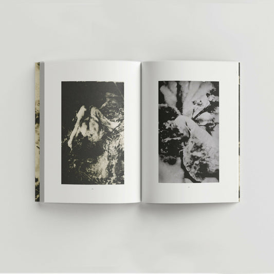 Werden - Singular Papers