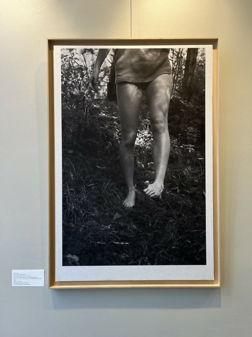 Lina's Legs (Framed) - Singular Papers