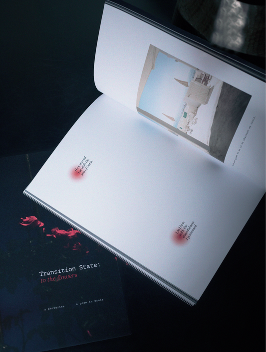 Transition State - Singular Papers