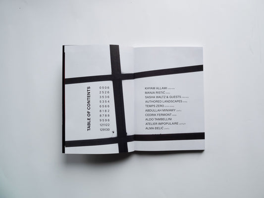 Issue 3 - Singular Papers