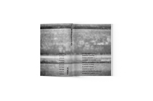 Issue 4 - Singular Papers