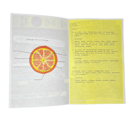 Notes on Libraries, Lesbians and Pulp - Singular Papers