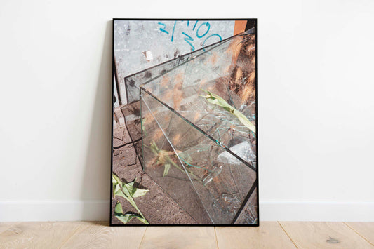 Aquarium - Berlin Series - Singular Papers