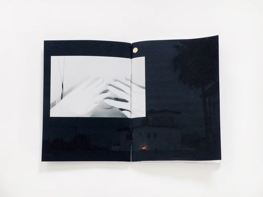 Global Zoo - Singular Papers