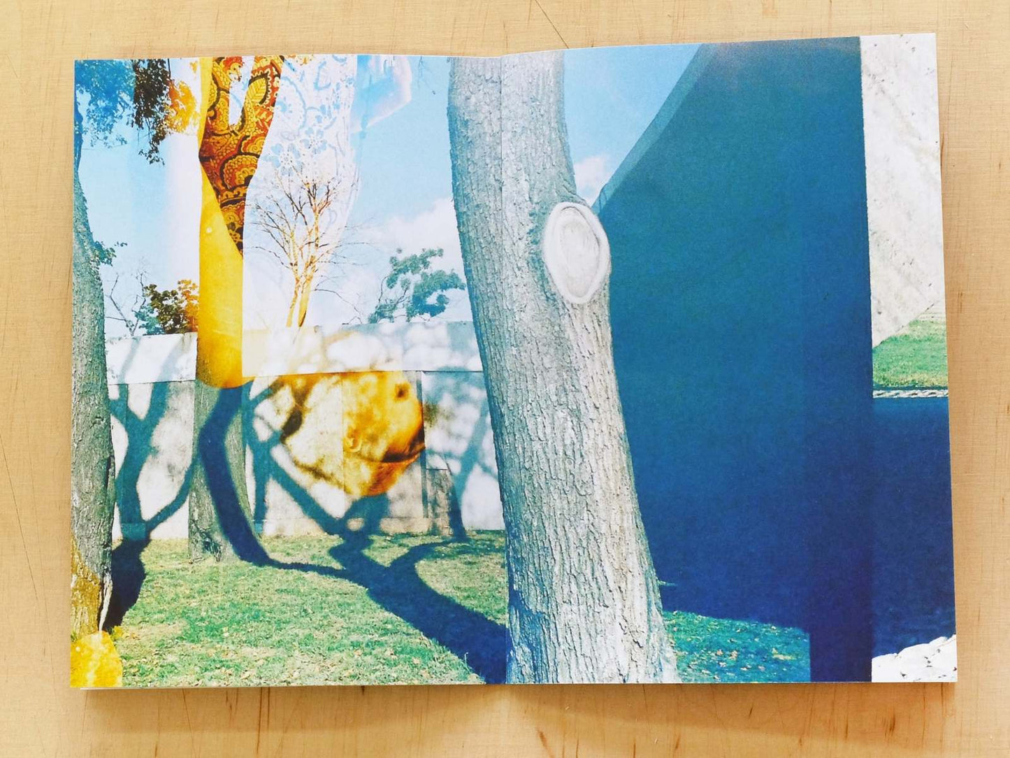 Retrace - Singular Papers