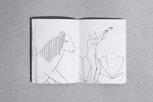 Firewall - Singular Papers