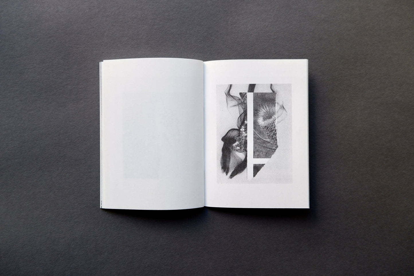 Ekotopia - Singular Papers