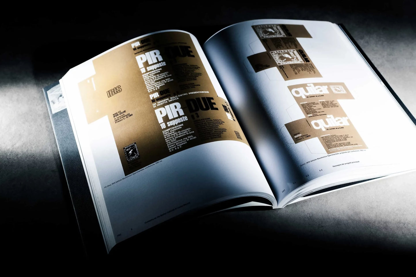 Hic Sunt Leones. Leone Sbrana 1919–2009 - Singular Papers