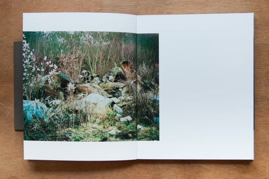 Settlement - Singular Papers