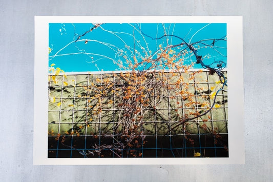 Untitled #6 - Singular Papers