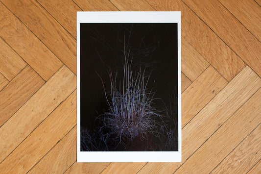 Untitled#3 - Singular Papers