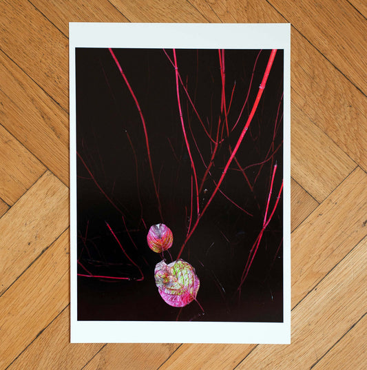 Untitled#6 - Singular Papers