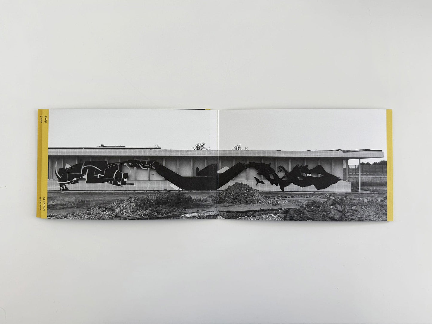 Nude Fanzine - Singular Papers