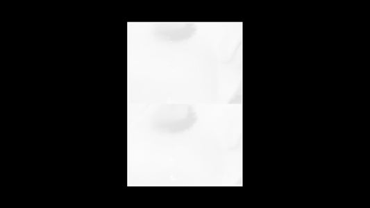 Novela - Singular Papers