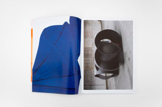 Vascular - Singular Papers