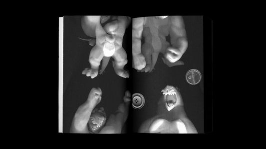 S.T. - Singular Papers