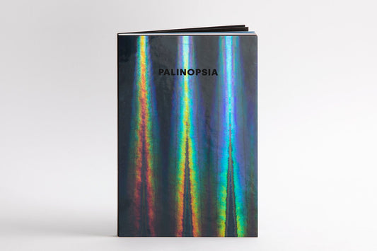 Palinopsia - Singular Papers