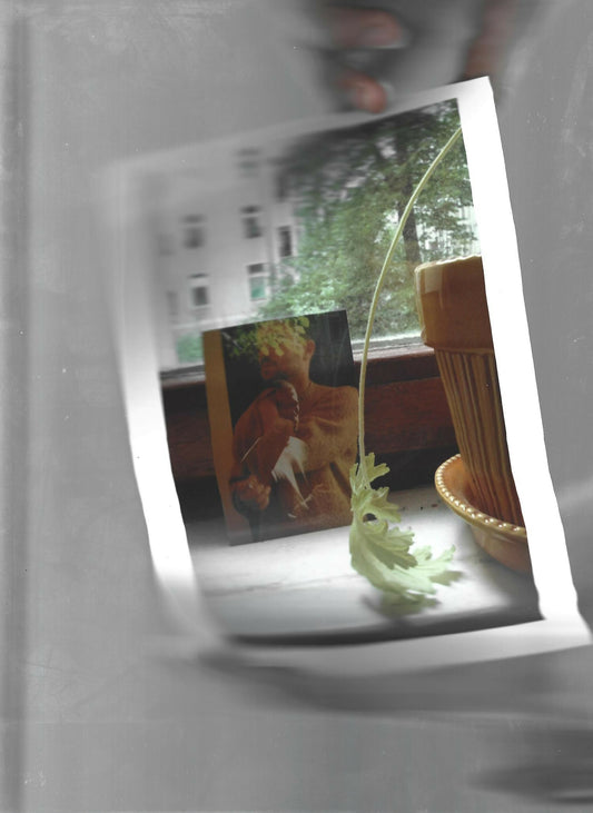 What Began As Desire - Singular Papers