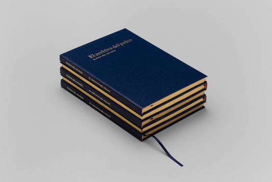 El archivo del polvo - Singular Papers