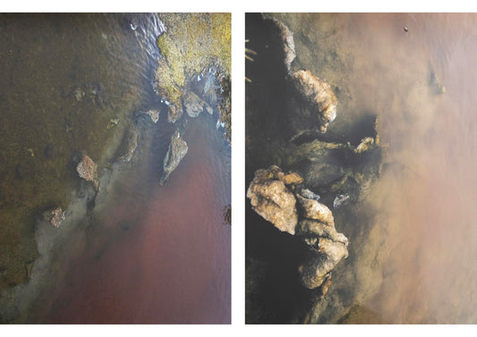 IETTA#1 Soda Salicornia - Singular Papers