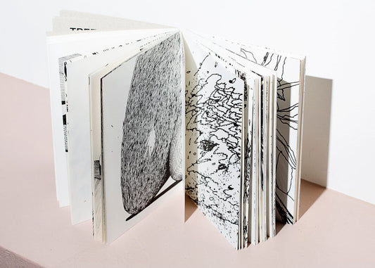 Appunti - Singular Papers