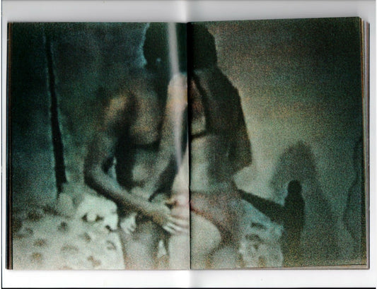 Untitled zine - Singular Papers