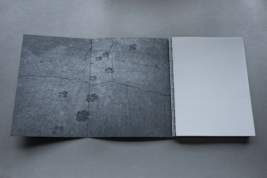 Dimitris_Mytas_elephant book-2