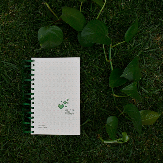 Self-care guide: 4 lessons of a pothos - Singular Papers