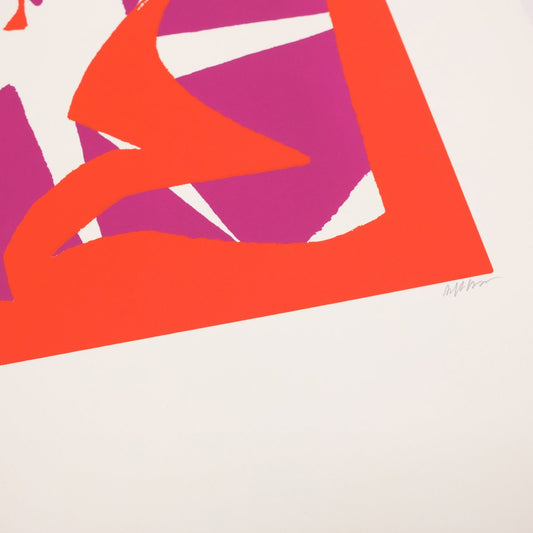 Alberto Fiocco - Singular Papers