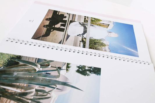 Zооpаrk #1 - Singular Papers