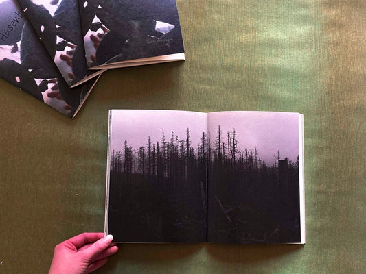 Hasenbrote - Singular Papers