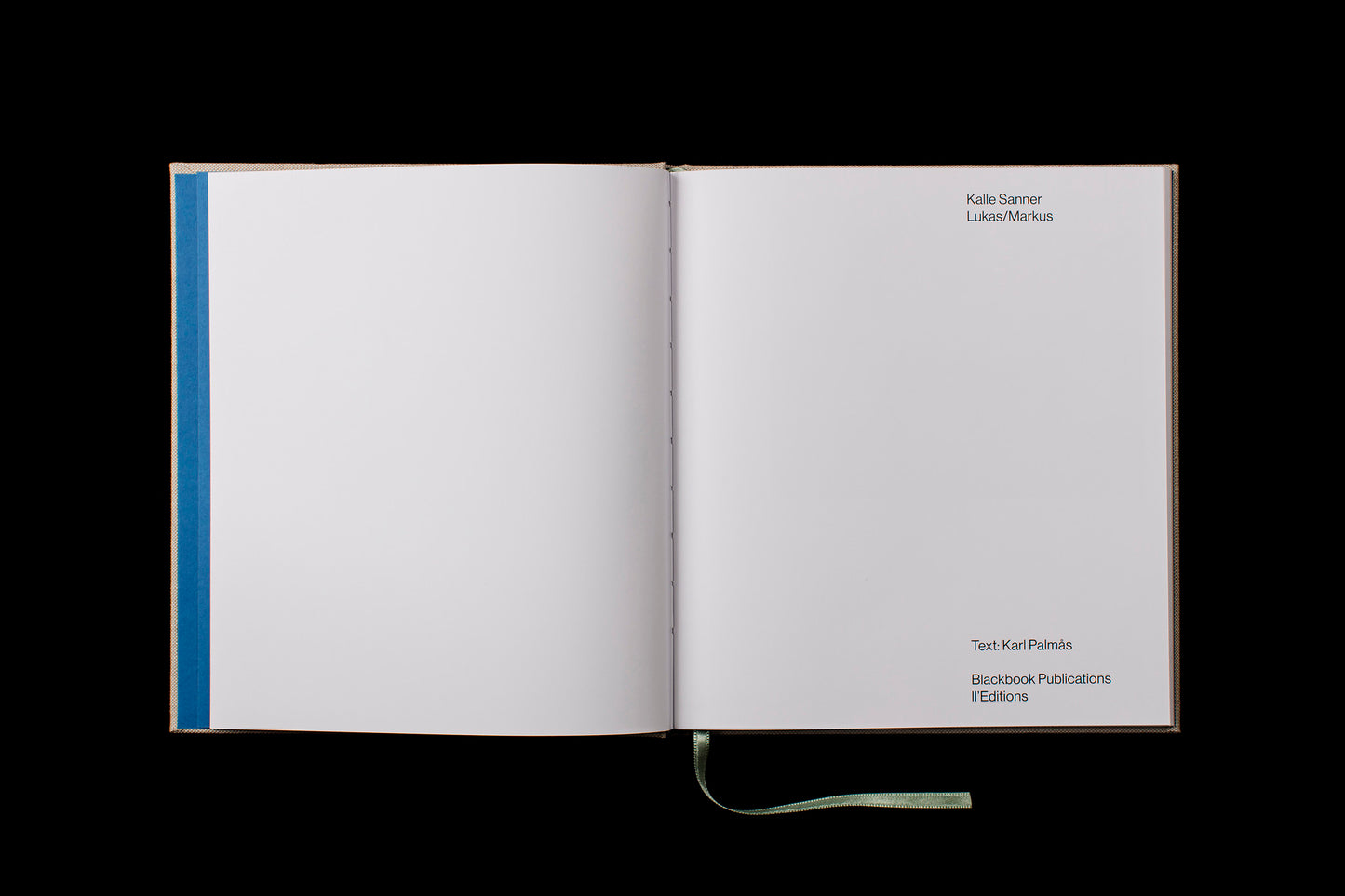 Lukas/Markus - Singular Papers