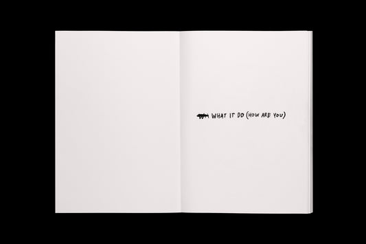 160 Faces - Singular Papers