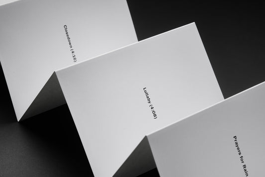 Leporello N° 11 - Singular Papers