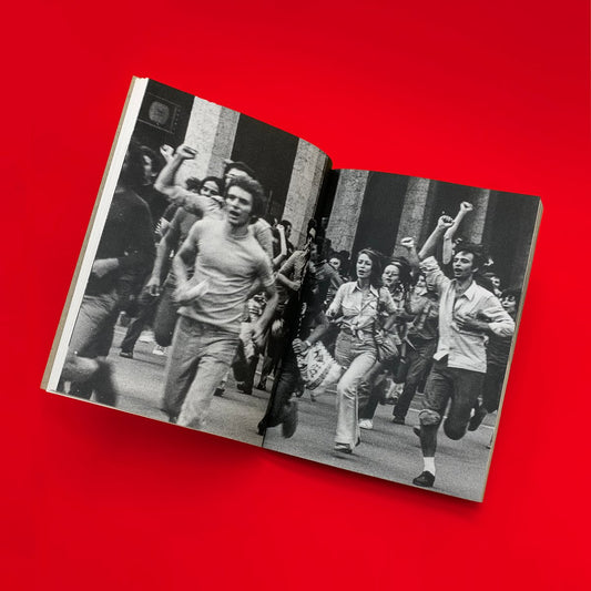 Lotta Continua - Singular Papers