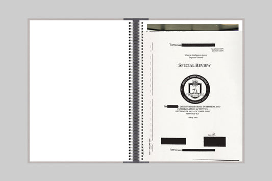 Negative Publicity - Singular Papers