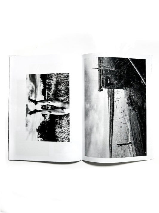 Badseedzine 06 - Singular Papers