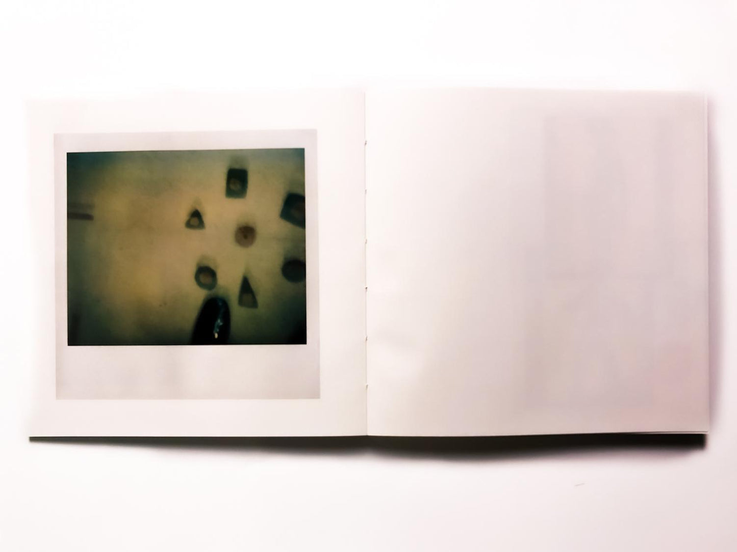 Elusive Polaroid - Singular Papers