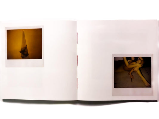 Elusive Polaroid - Singular Papers