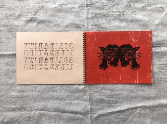 An easy introduction to white fragility and anti racism - Singular Papers