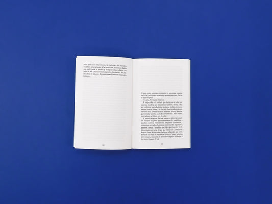 La Pobre Calidad del Agujero - Singular Papers