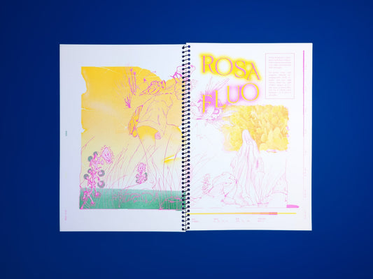 Videononstop - Singular Papers