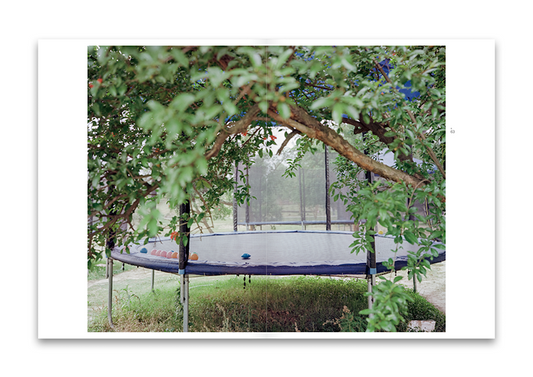 Salt Ponds - Singular Papers