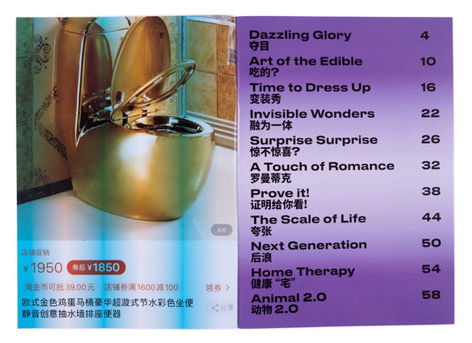 Wow Taobao - Singular Papers