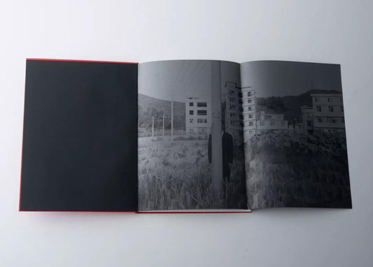 Reborn - Singular Papers