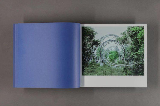 The Landscape - Singular Papers