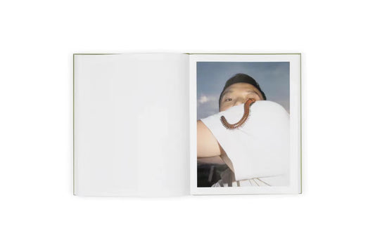 Napping Dog - Singular Papers