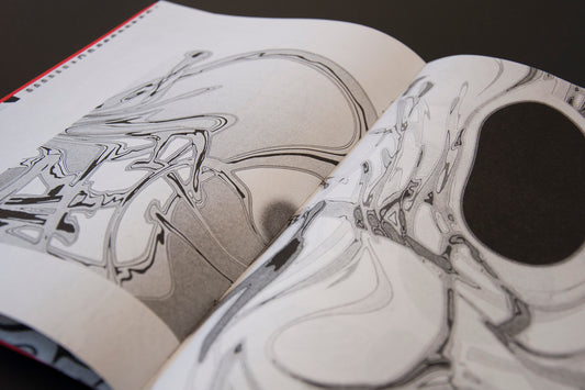 Simulations - Singular Papers