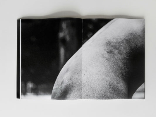 She Looks into Me - Singular Papers