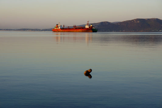 Salt - Singular Papers